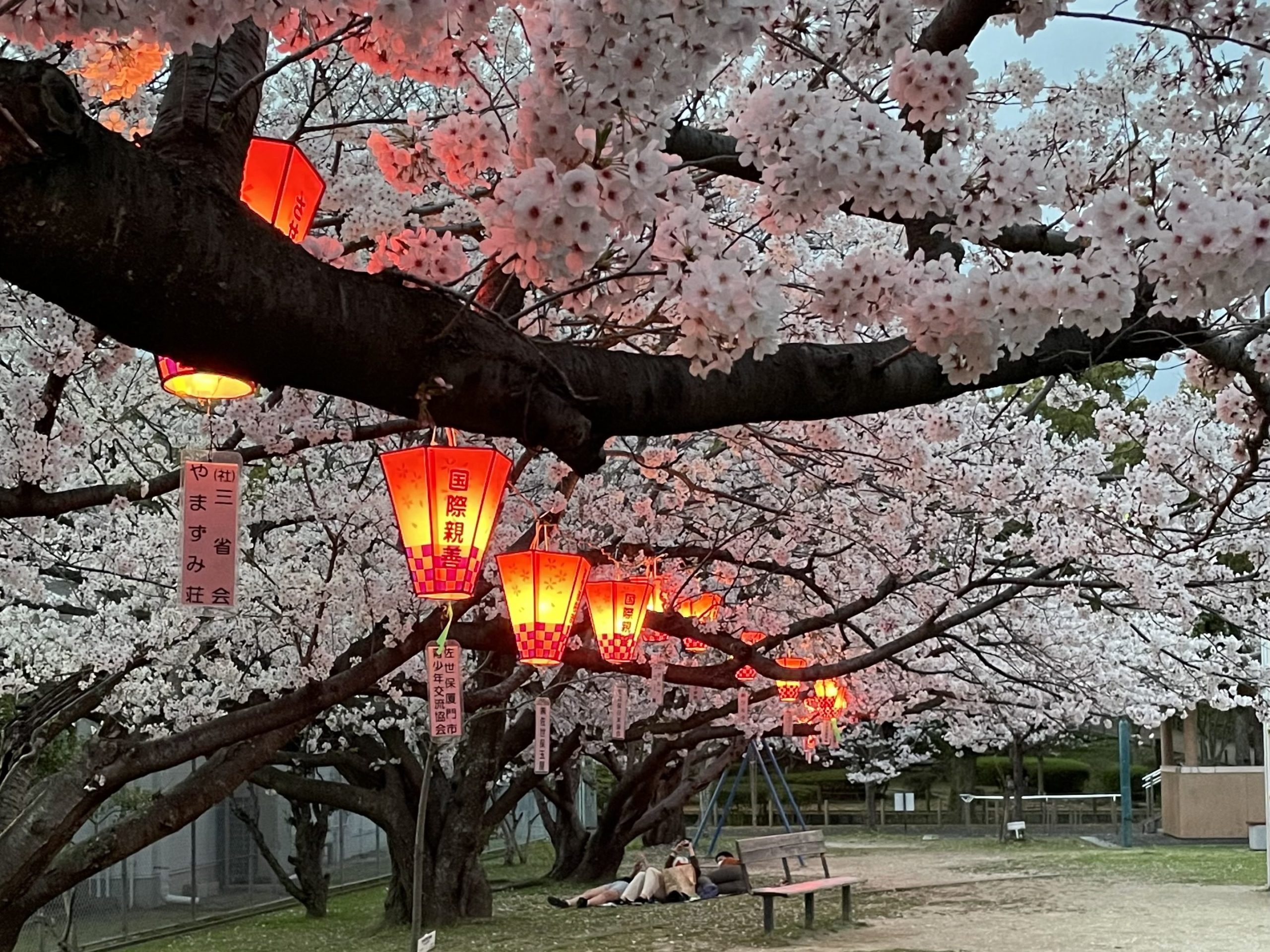 🏞️ 니미츠 파크(Nimitz Park) 이미지 6